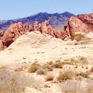 Meet your Posher, Karina